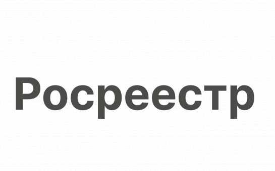 О признаках неосвоенной земли и условиях ее изъятия рассказала в эфире региональных новостей телеканала «Россия 1» заместитель руководителя новосибирского Росреестра  Наталья Ивчатова